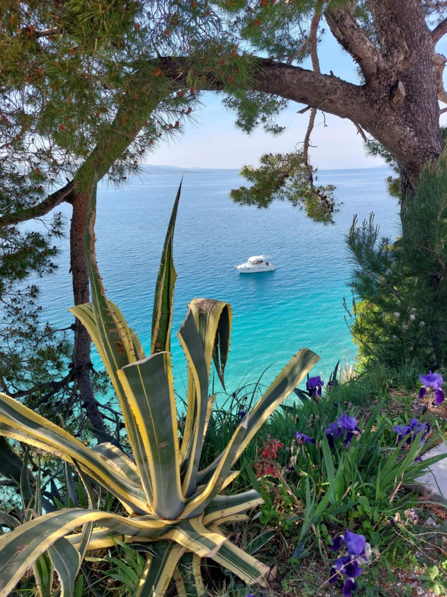 Villa Bratus Promajna Bagian luar foto